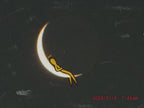 Starman on the Moon